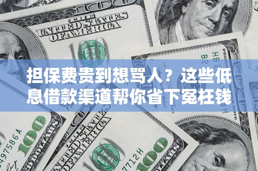 济南担保费贵到想骂人？这些低息借款渠道帮你省下冤枉钱