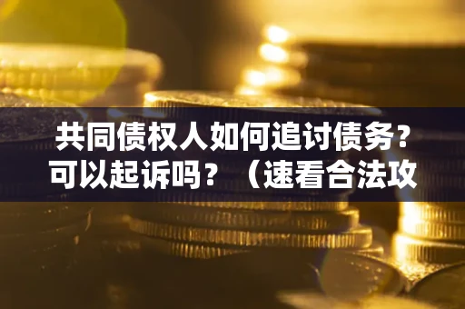 济南共同债权人如何追讨债务？可以起诉吗？（速看合法攻略）